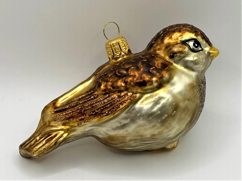 Junger Spatz