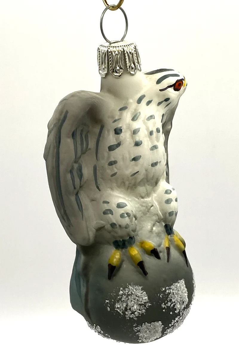 Habicht Männchen