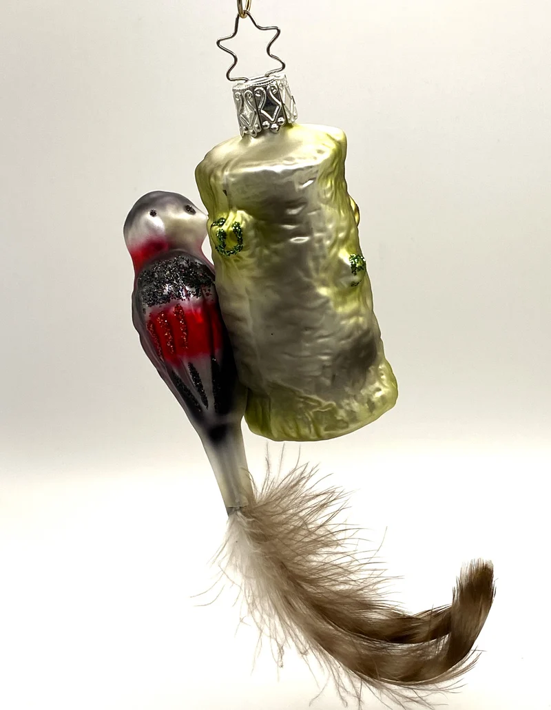 Buntspecht am Stamm mit Naturfeder