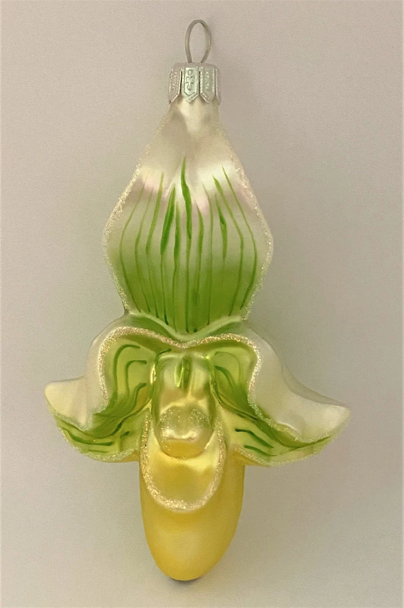 Cypripedium, Frauenschuh