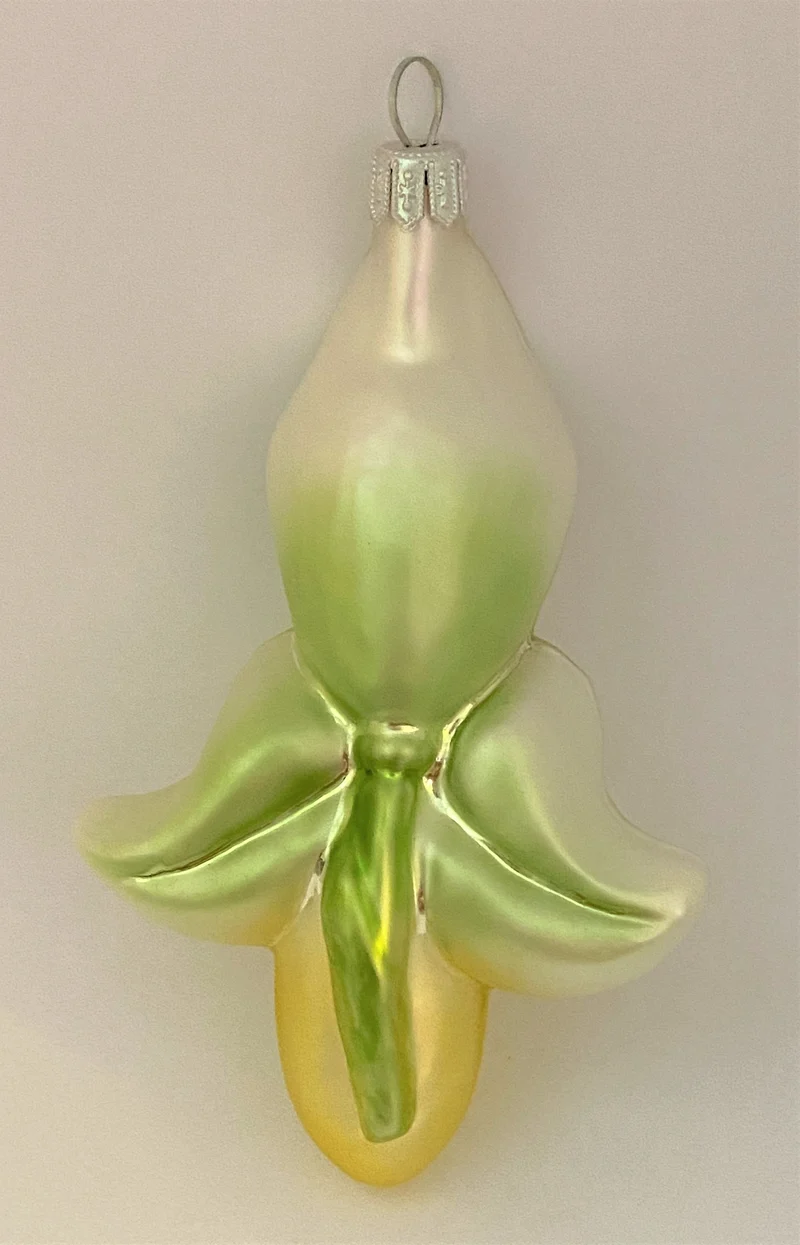 Cypripedium, Frauenschuh