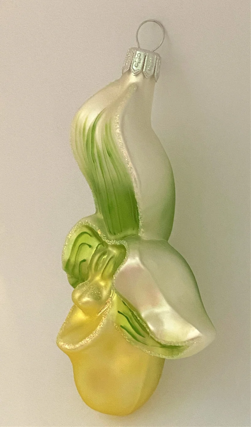 Cypripedium, Frauenschuh