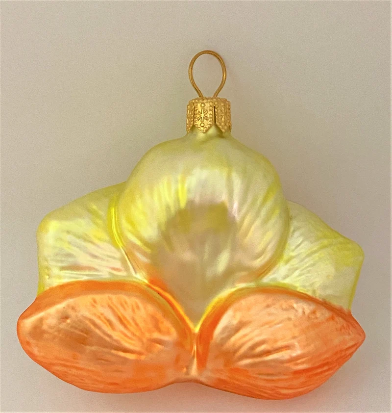 Phalaenopsis gelb orange