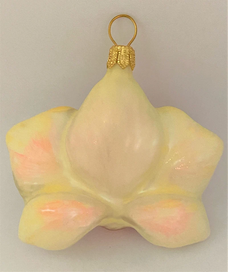 Phalaenopsis weiss lila, klein