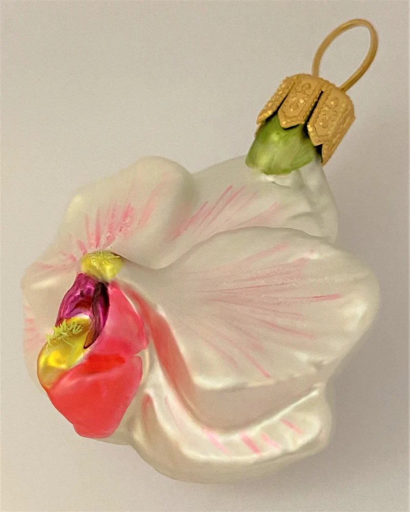 Phalaenopsis weiss rosa, klein