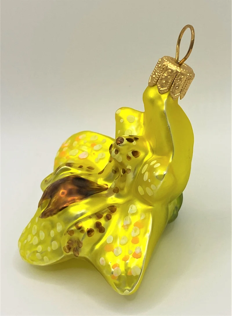 Cymbidium, Orchidee gelbgrün