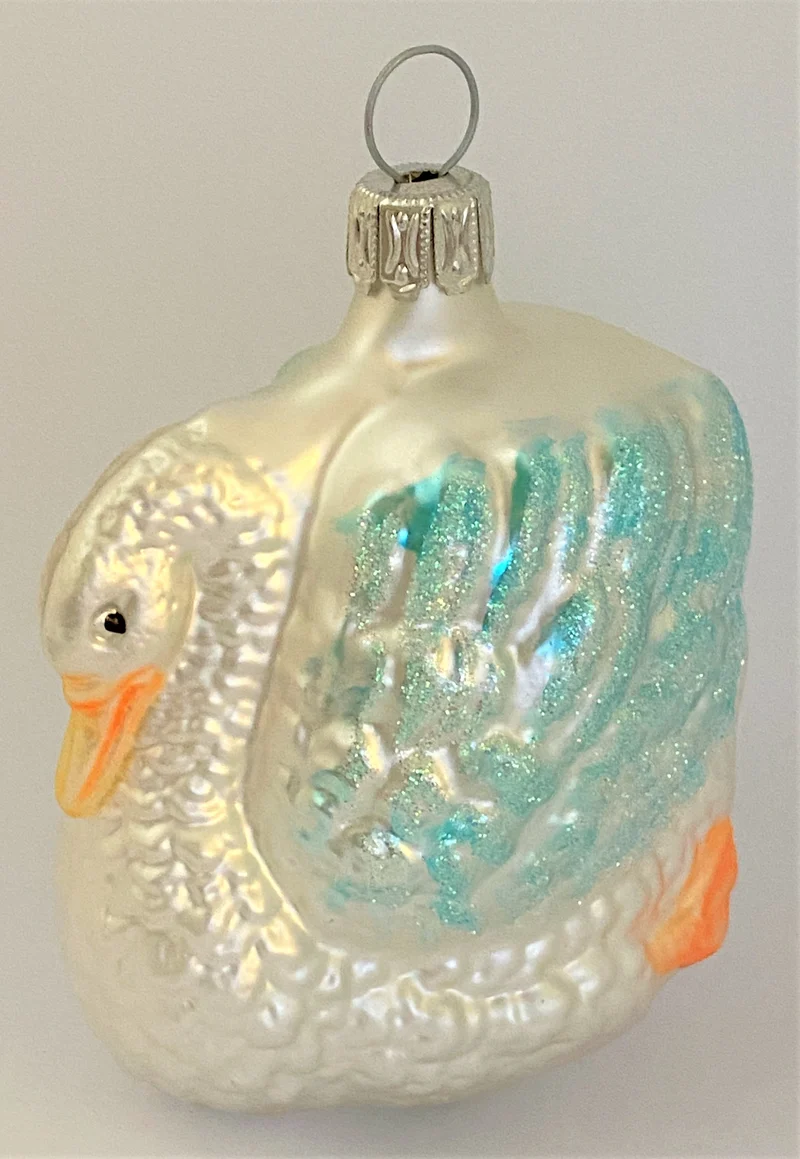 Schwan mit hellblauen Flügeln