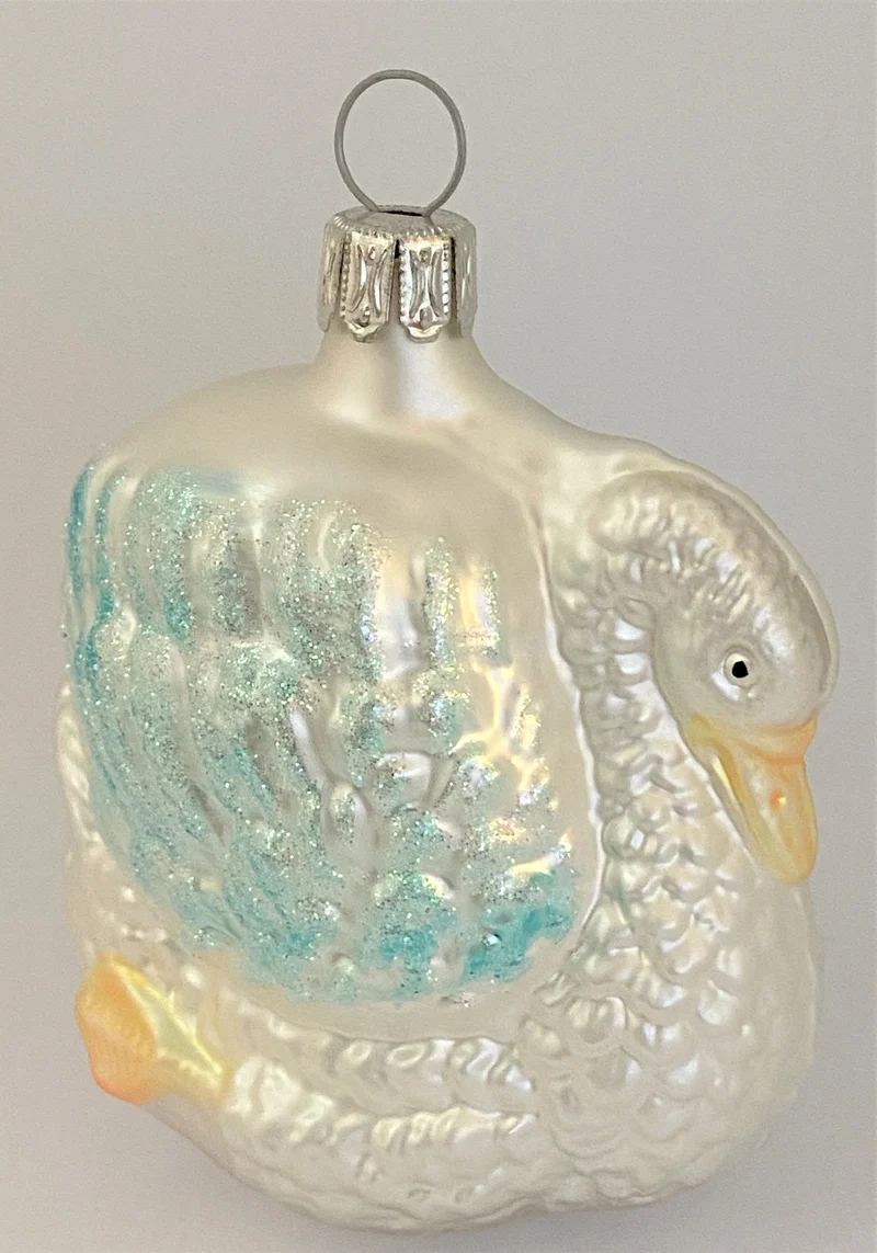 Schwan mit hellblauen Flügeln