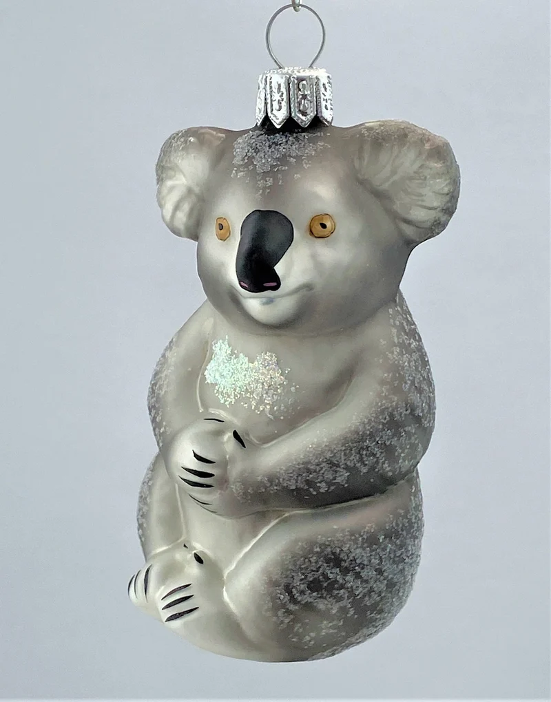 Koala-Bär