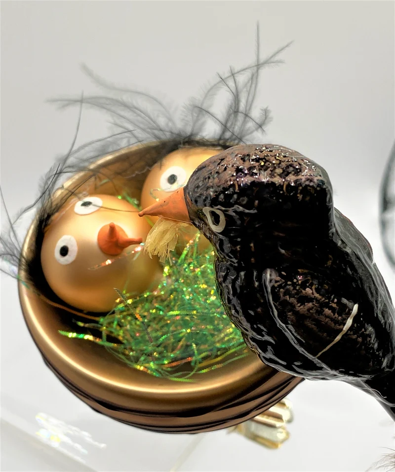 Die Amsel füttert die Jungen im Nest