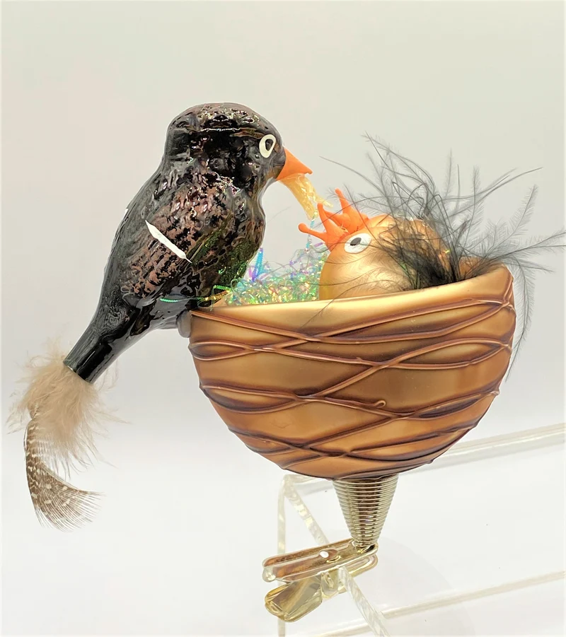 Die Amsel füttert die Jungen im Nest