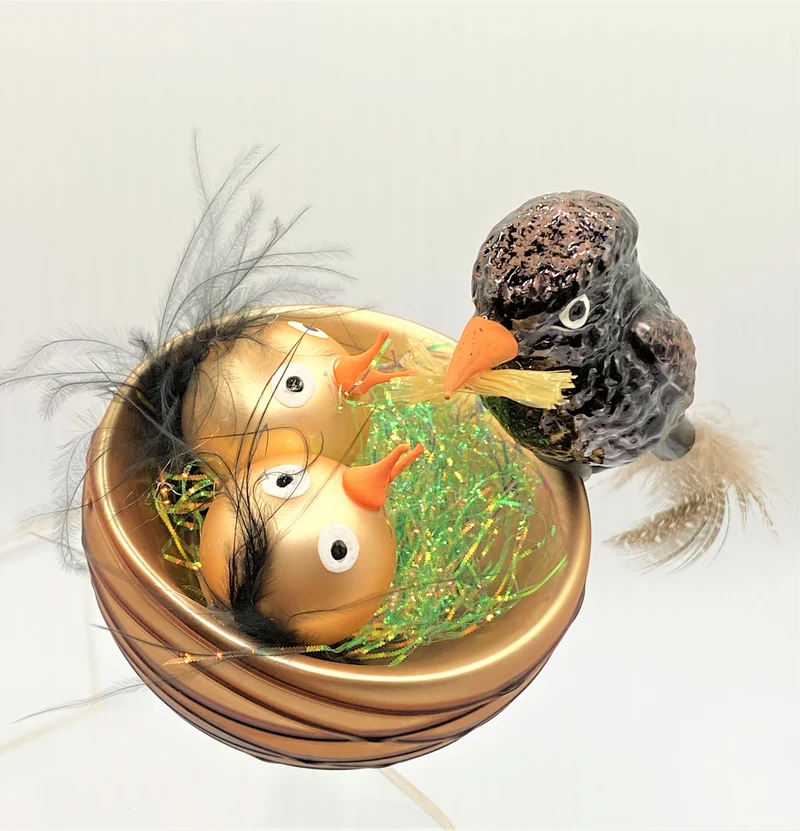 Die Amsel füttert die Jungen im Nest