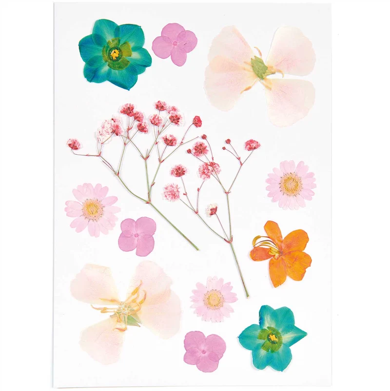 Gepresste Blüten Mix Set orange türkis