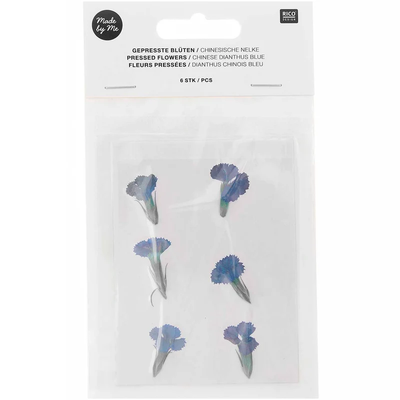 Gepresste Blüten Chinesische Nelke blau