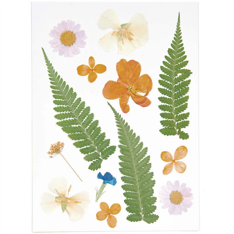 Gepresste Blüten Mix Set violett orange