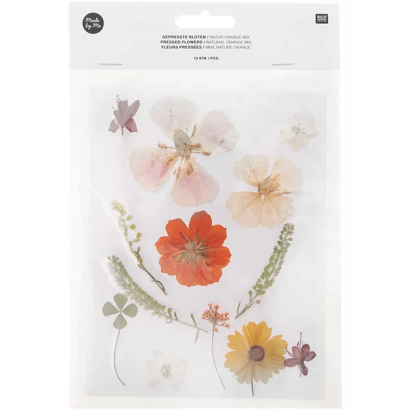 Gepresste Blüten Mix Set natur orange