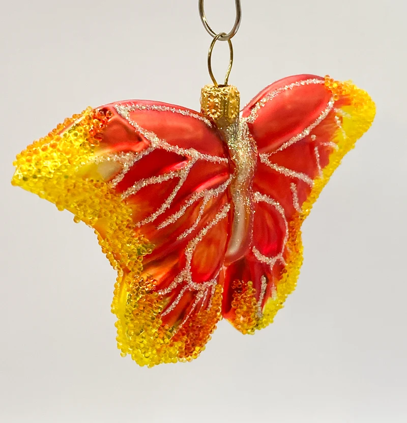Schmetterling dunkles orange mit gelben Flügelspitzen