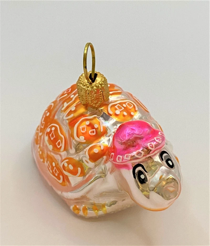 Schildkröte mit rosa Mütze