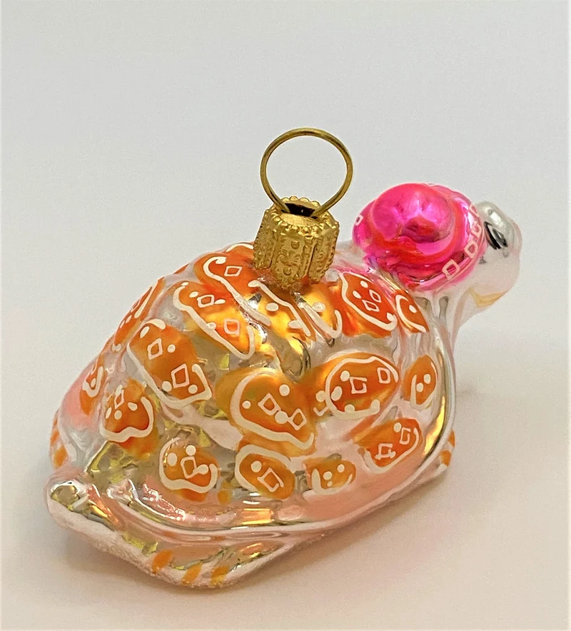 Schildkröte mit rosa Mütze
