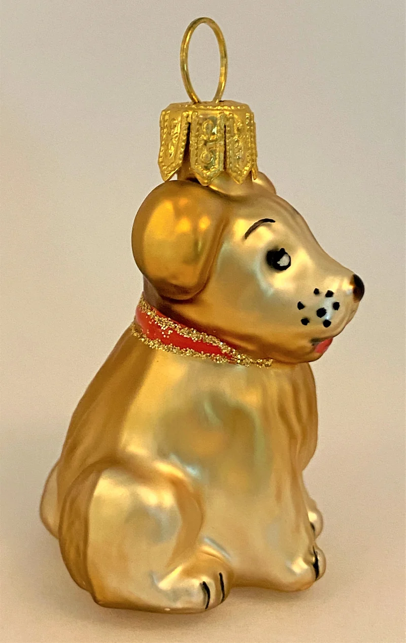 Kleiner, knuffiger Mischling-Hund