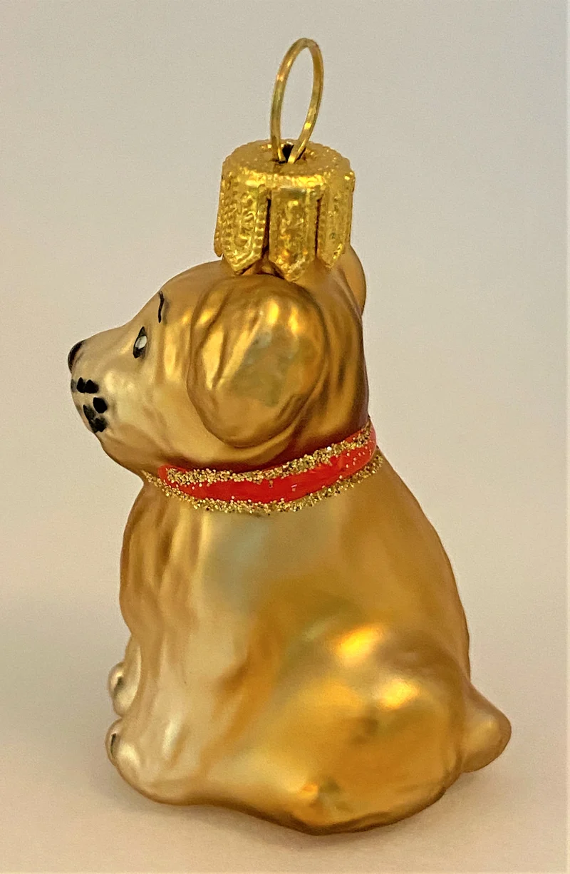 Kleiner, knuffiger Mischling-Hund