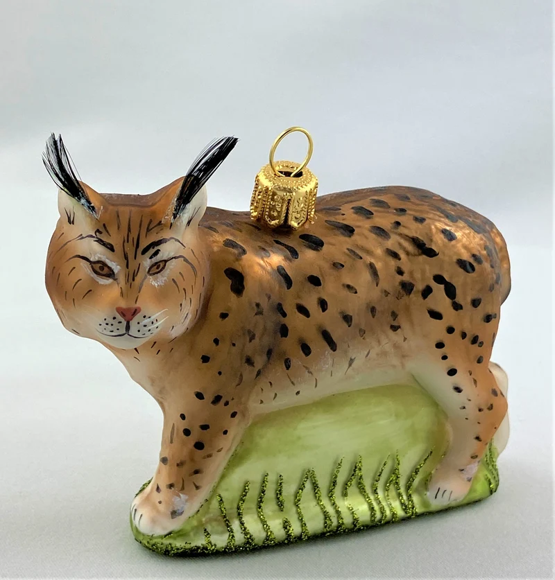 Luchs