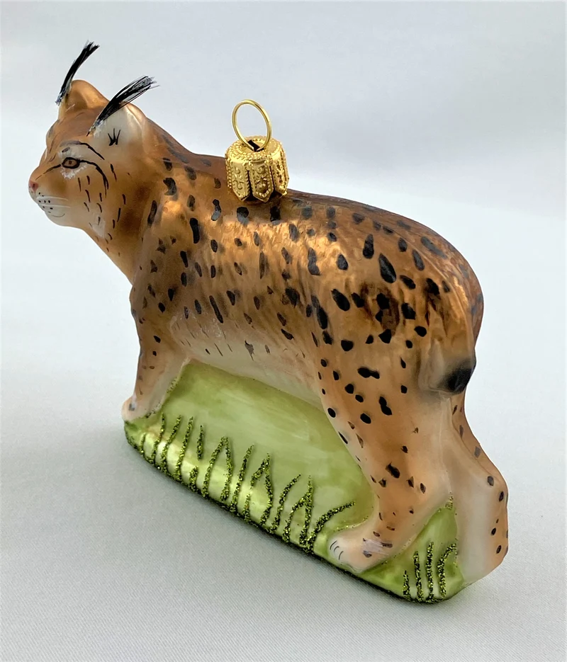 Luchs