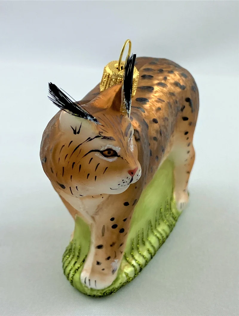 Luchs