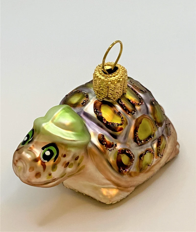 Schildkröte mit grüner Mütze