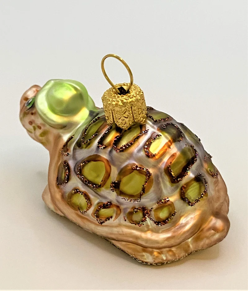 Schildkröte mit grüner Mütze