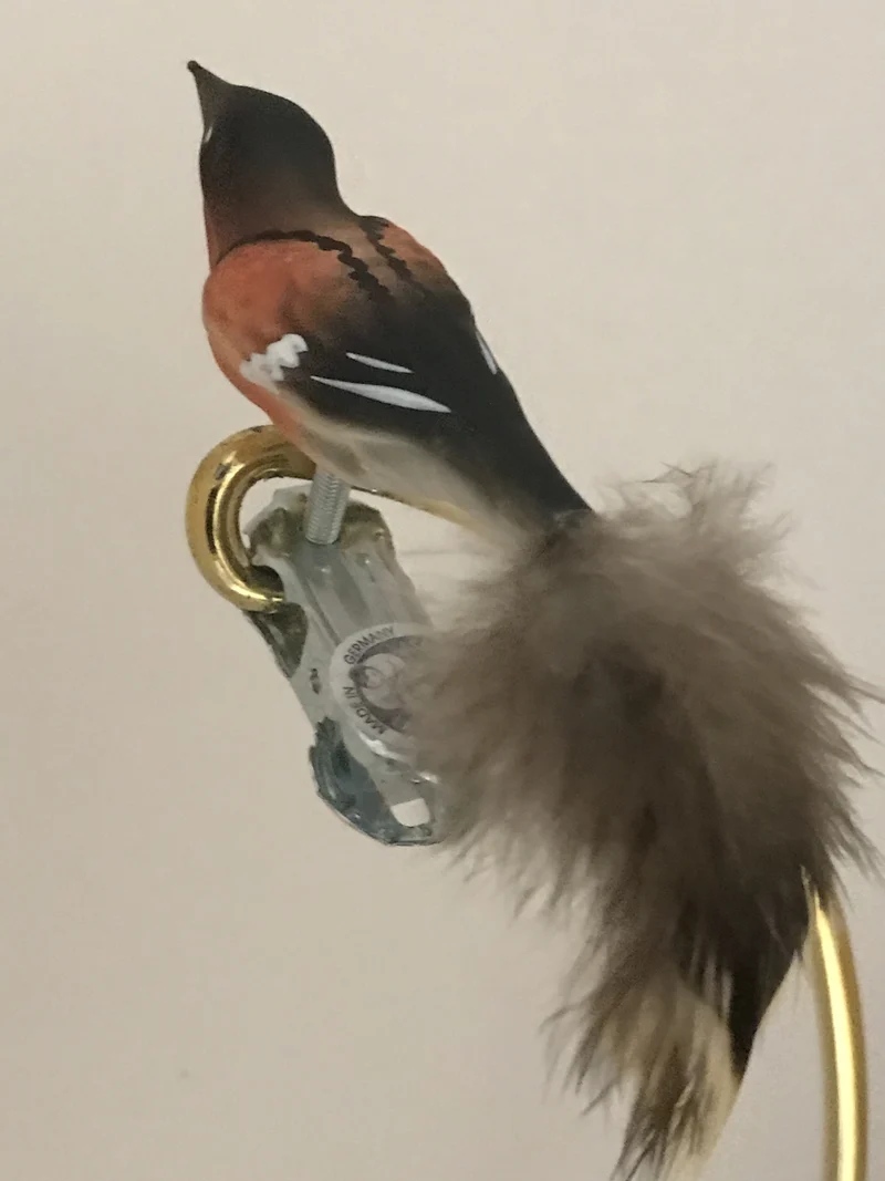 Kleiner Bergfink