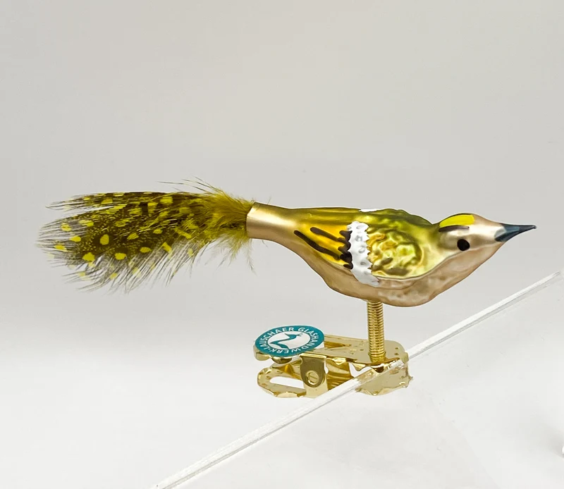 Kleines Wintergoldhähnchen