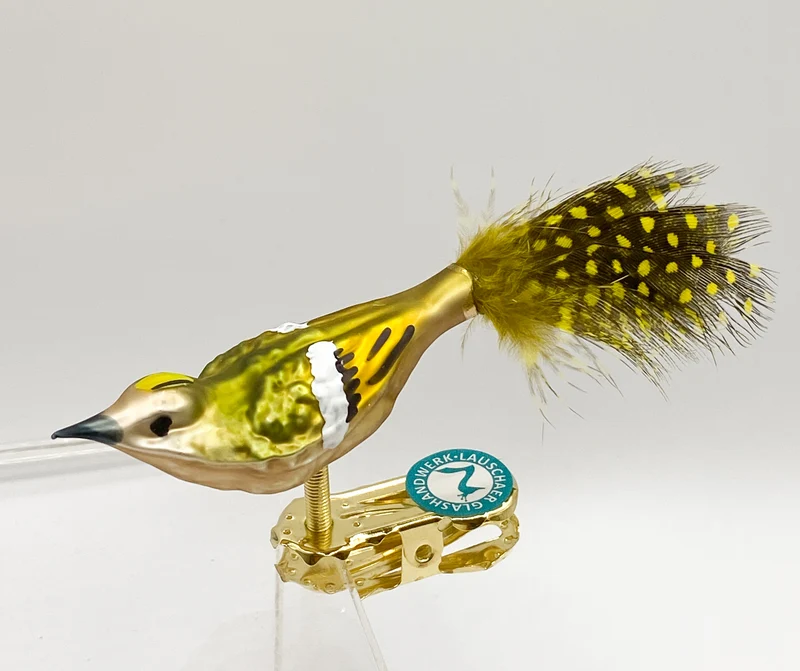 Kleines Wintergoldhähnchen