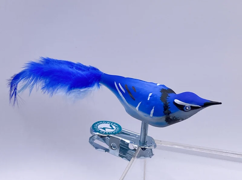 Kleiner Blauhäher