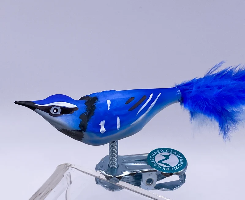 Kleiner Blauhäher