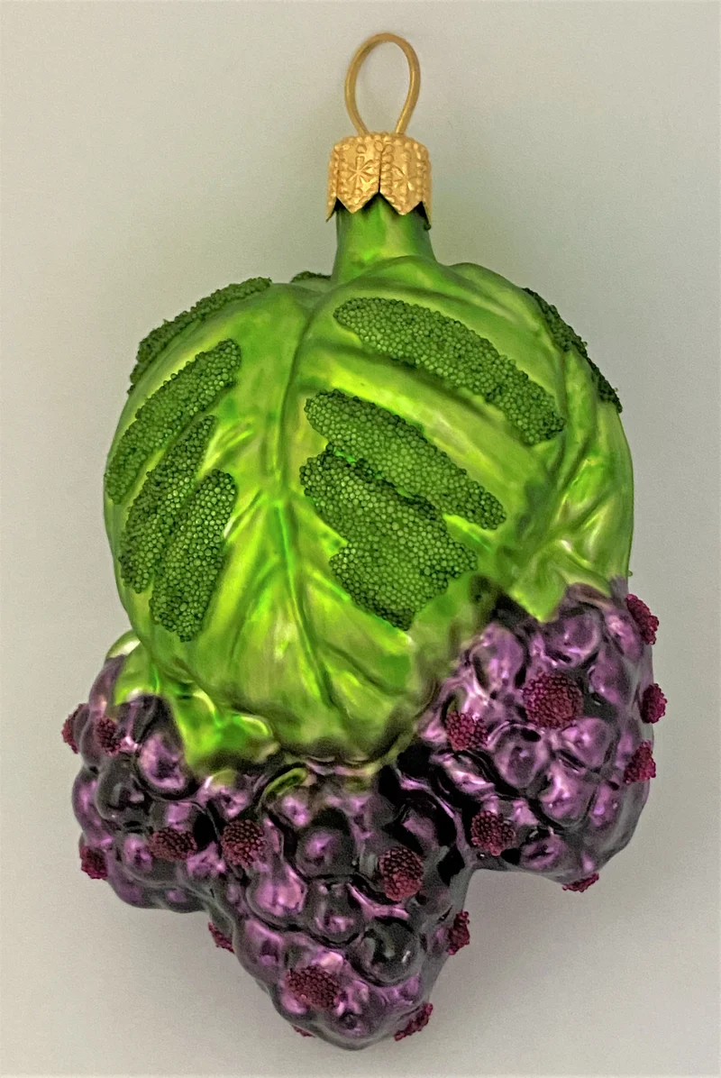 Brombeeren am Zweig