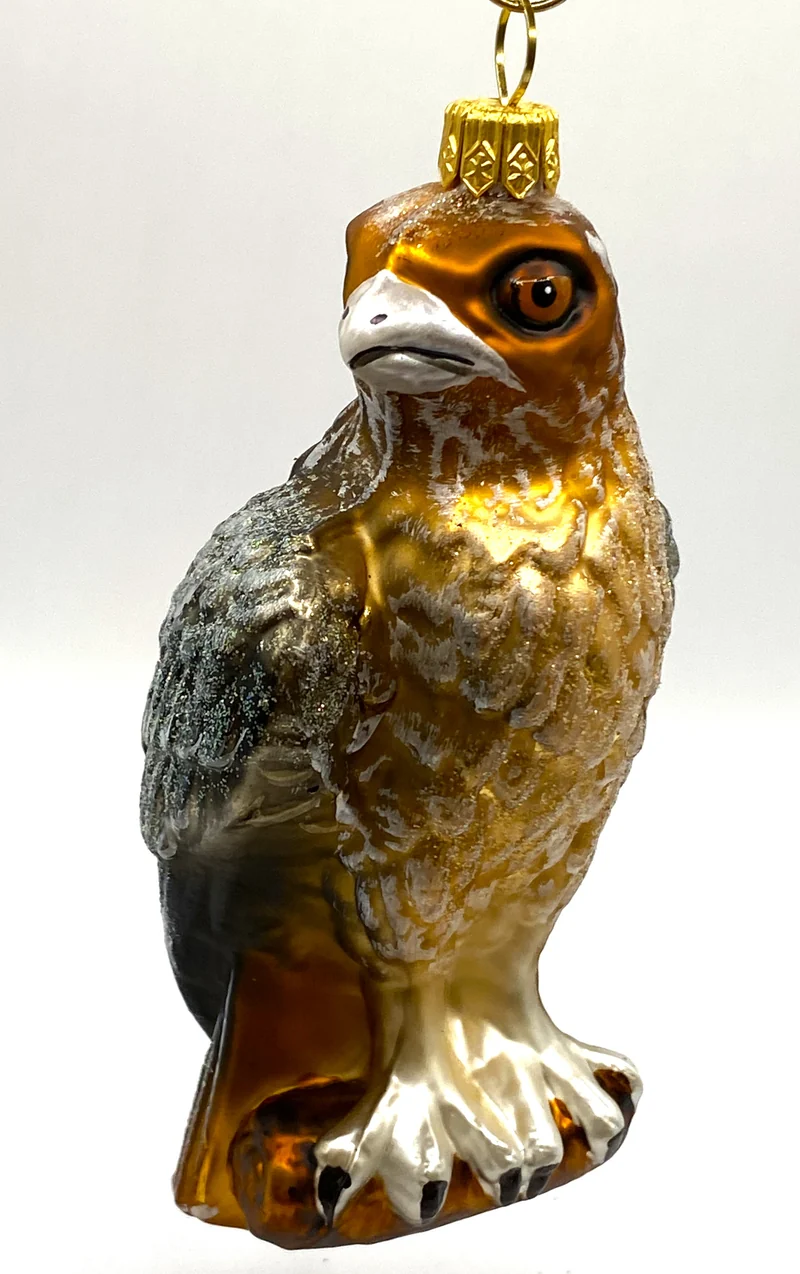 Rotschwanz Bussard