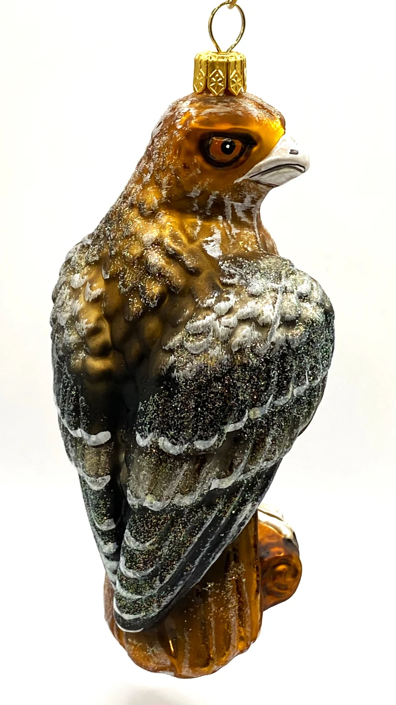 Rotschwanz Bussard
