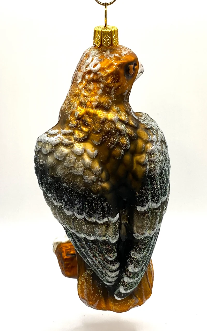 Rotschwanz Bussard