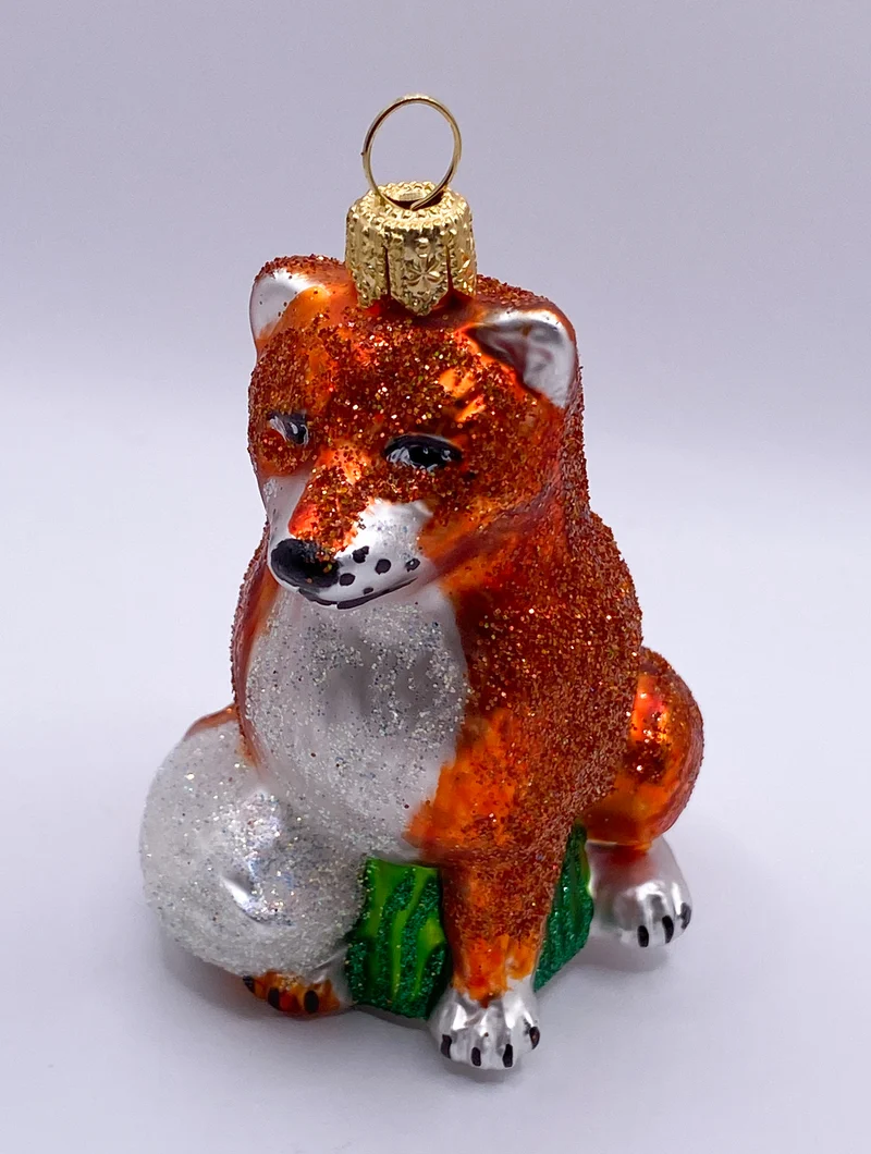 Fuchs mit buschigem Schwanz