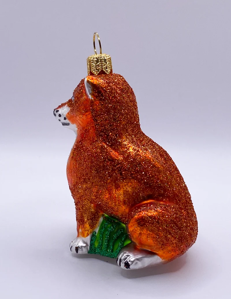 Fuchs mit buschigem Schwanz