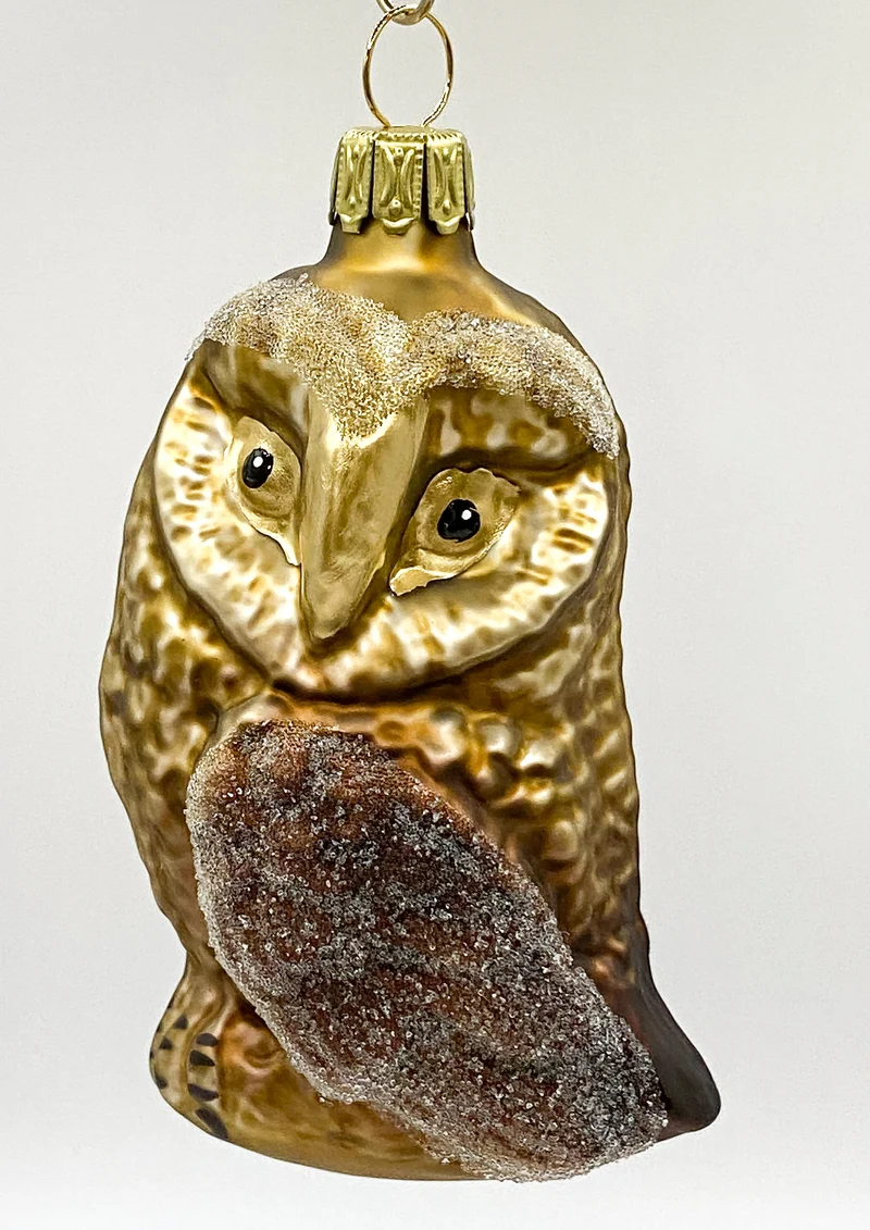 Braune Eule mit gedrehtem Kopf
