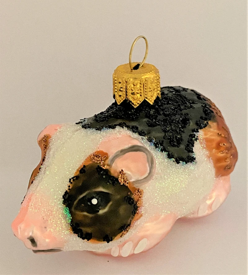 Meerschweinchen