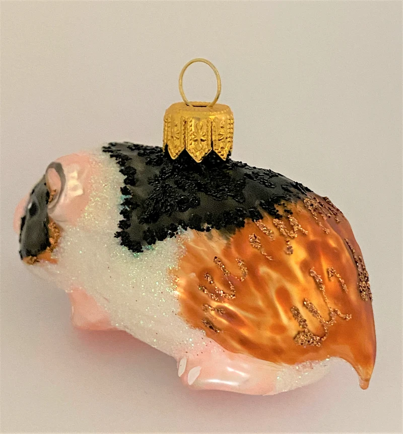 Meerschweinchen