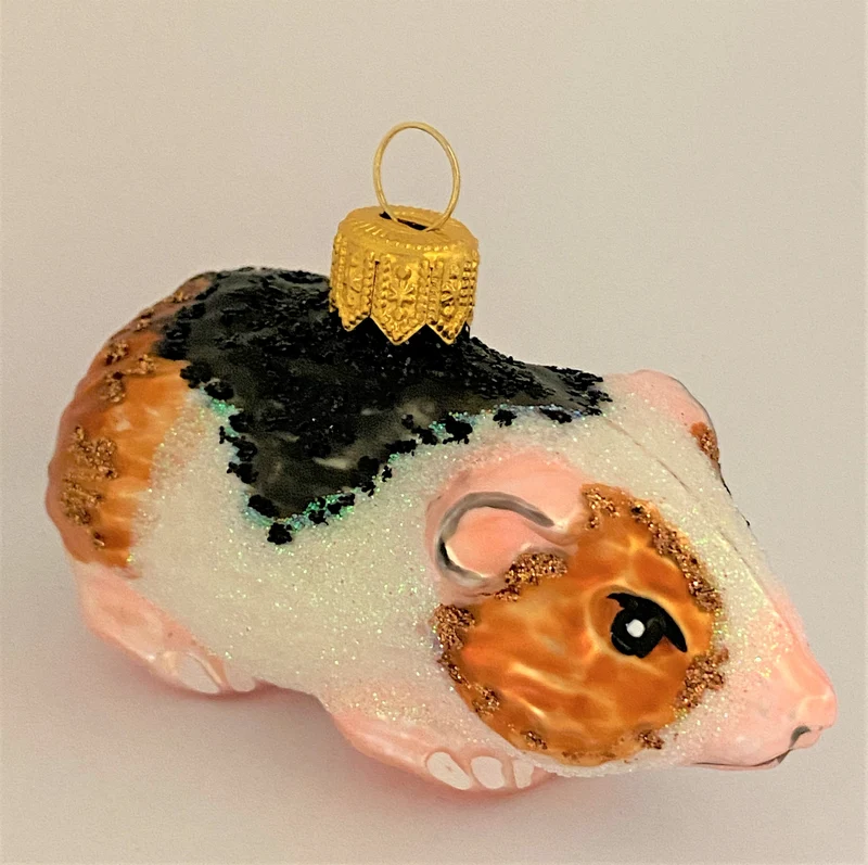 Meerschweinchen