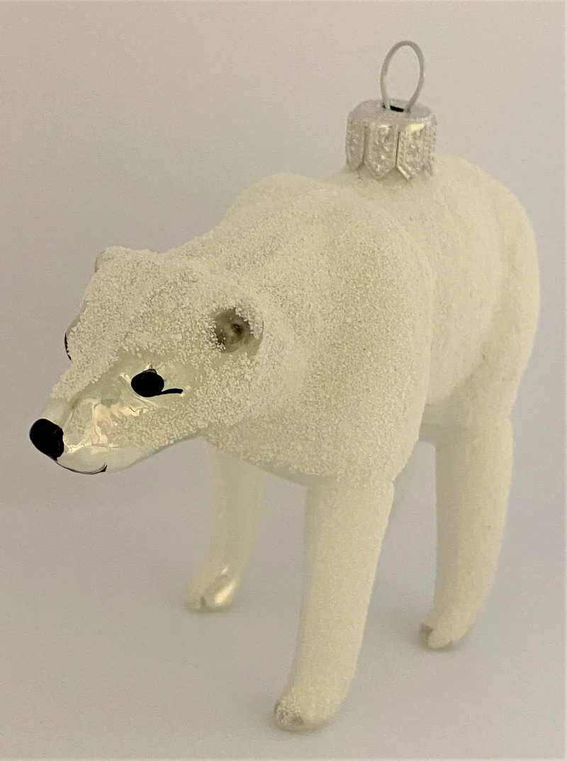 Eisbär