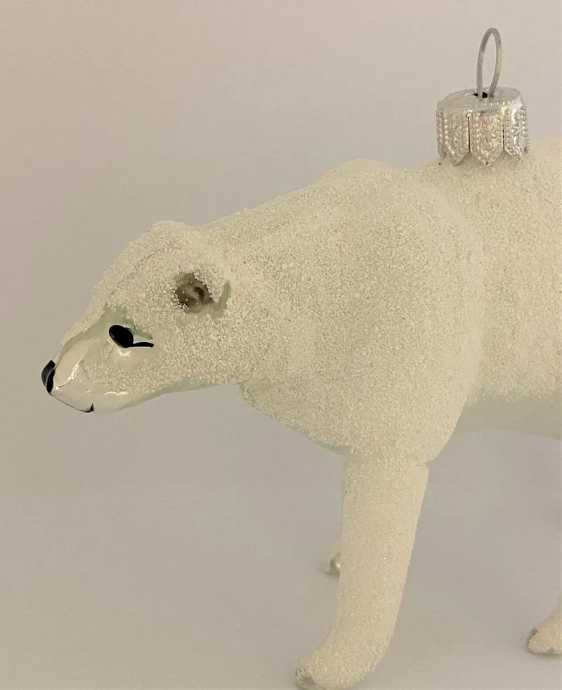 Eisbär