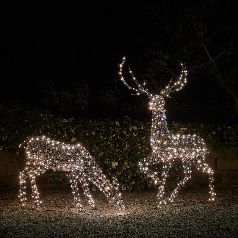 2er Set LED-Rentierfamilie Hirsch & Hirschkuh XL Studley
