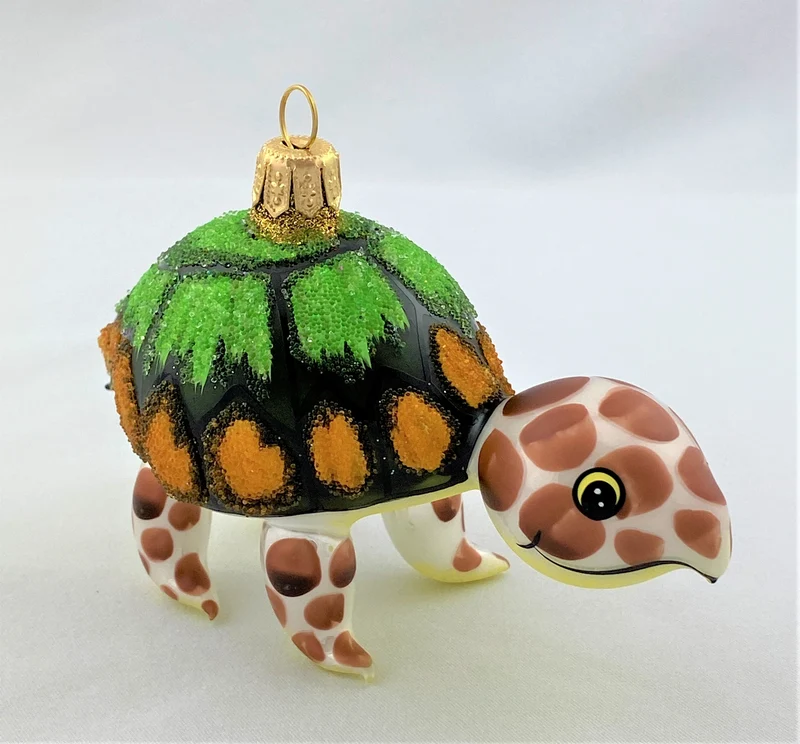 Schildkröte