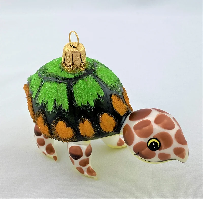 Schildkröte